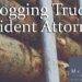 Semi-Truck Accident Lawyers: Logging Truck Accidents in GA