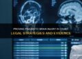 Proving Traumatic Brain Injury In Court: Legal Strategies And Evidence ...